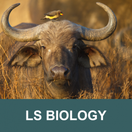 Biology - Lower Secondary