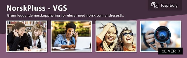 Norskpluss videregående