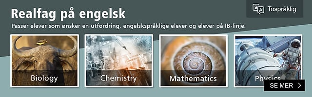 Realfag på engelsk