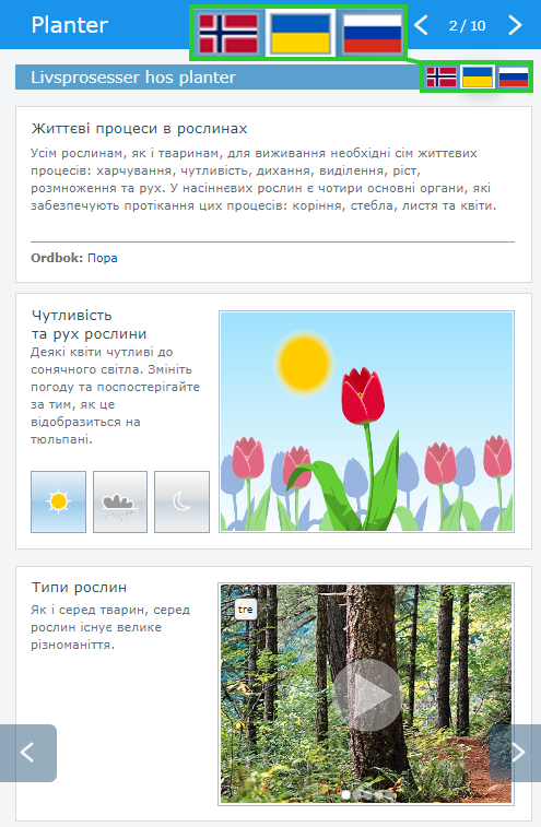 planter ukr med magnify.png