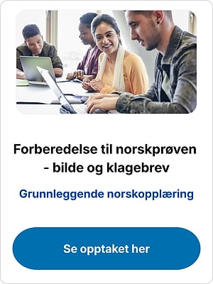 "Forberedelse til norskprøven - bilde og klagebrev" webinar med studenter som jobber på bærbare datamaskiner