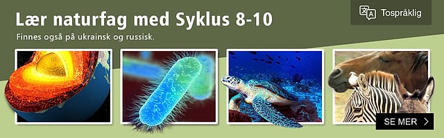 Lær naturfag med Syklus 8-10