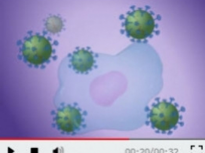 Undervisningsopplegg om virus, sykdom, vaksine og immunforsvaret til hjemmeskole